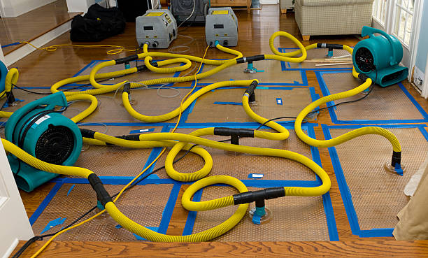 Professional Water Extraction technician working in Southside, TN